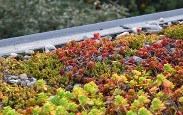 the cost of Kirkforthar Feus green roof installation