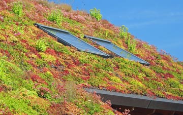 Kirkforthar Feus living roof systems