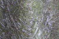 Kirkforthar Feus fibreglass roof work